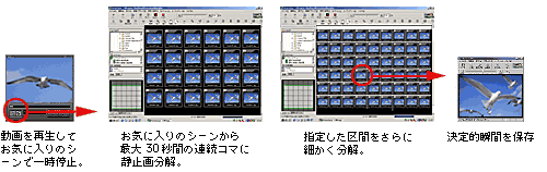 �Î~��؂�o���@�\