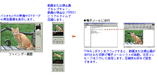 Smart Capture�ɂ��r�f�I���[�����M�̗���B