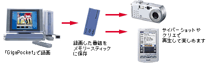 ����t�H�[�}�b�g�ϊ��@�\�ŁA�f���t�@�C����p�r�ɉ����Ďg�������B