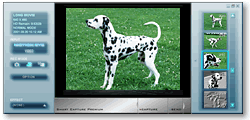 Smart Capture Premium