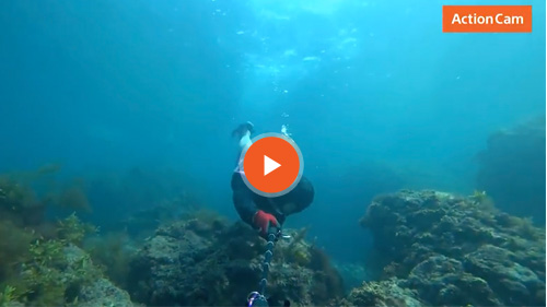 ���ƃp�p���j���ł�̌�������[!