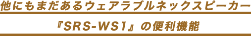 ���ɂ��܂�����E�F�A���u���l�b�N�X�s�[�J�[�wSRS-WS1�x�֗̕��@�\