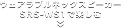 �E�F�A���u���l�b�N�X�s�[�J�[ SRS-WS1�Ŋy����