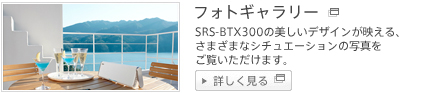 SRS-BTX300 tHgM[
