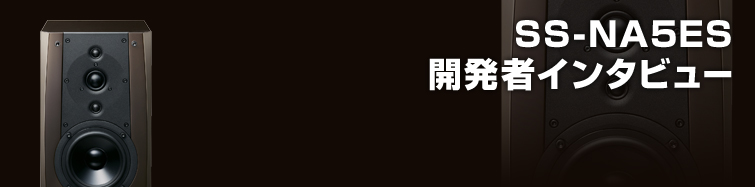SS-NA5ES J҃C^r[