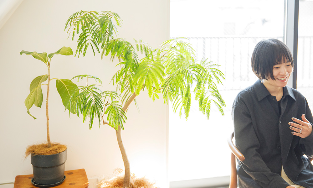 ���ʐ�z����