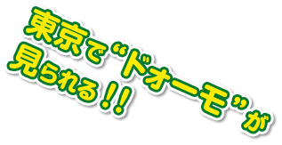 ������&ldquo;�h�H�[��&rdquo;��������I�I