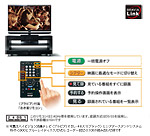 �u�u���r�A�����N�v�Ή�