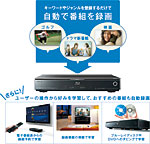 x-���܂����E�܂�^