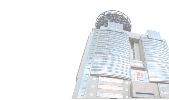 ������Г��������l�@�ʐ^