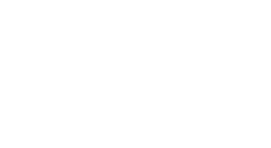 bravia business