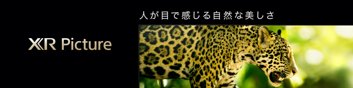 0j Lbシリーズ 特長 高画質 業務用ディスプレイ テレビ 法人向け ブラビア ソニー 0j Lbシリーズ 特長 高画質 業務用ディスプレイ テレビ 法人向け ブラビア ソニー