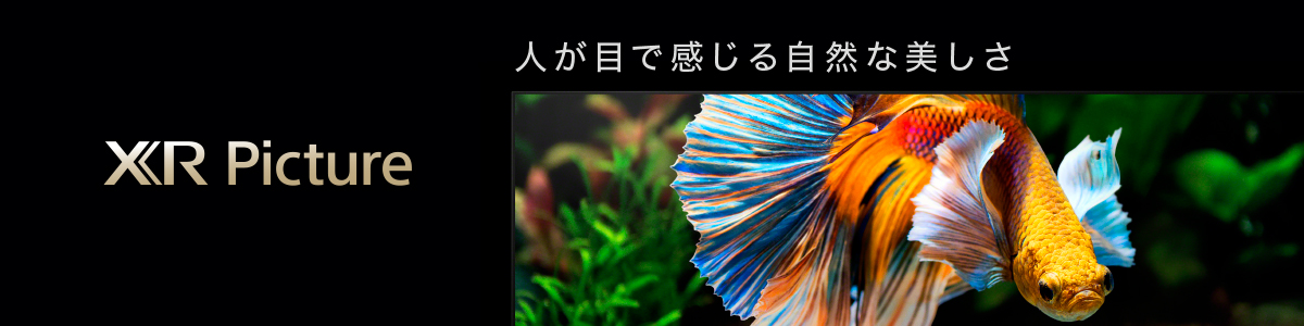 X95j Lbシリーズ 特長 高画質 業務用ディスプレイ テレビ 法人向け ブラビア ソニー X95j Lbシリーズ 特長 高画質 業務用ディスプレイ テレビ 法人向け ブラビア ソニー