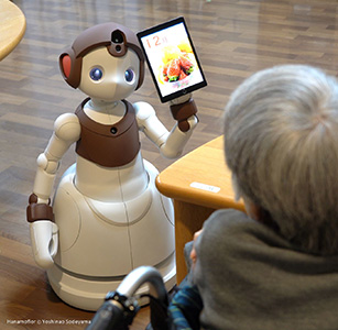 �q�ǂ��^������샍�{�b�gHanamoflor�i�n�i���t�����j