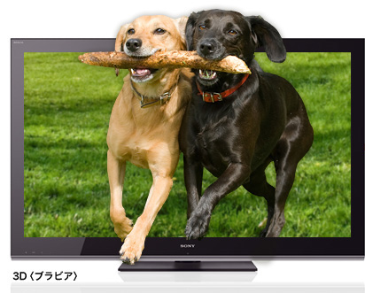 3D�u���r�A