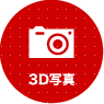 3D�ʐ^