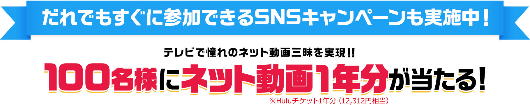 ����ł������ɎQ���ł���SNS�L�����y�[�������{���I�e���r�œ���̃l�b�g����O���������I�I100���l�Ƀl�b�g����1�N����������I ��Hulu�`�P�b�g1�N���i12,312�~�����j