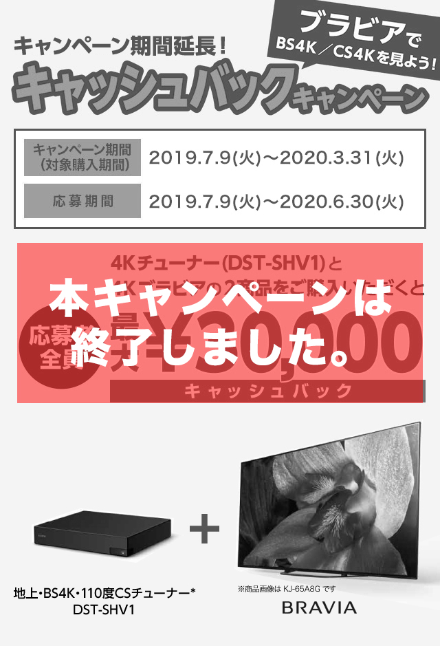 憧れの  延長保証期限内 ソニー　4Kテレビ　KJ-49X8500F テレビ