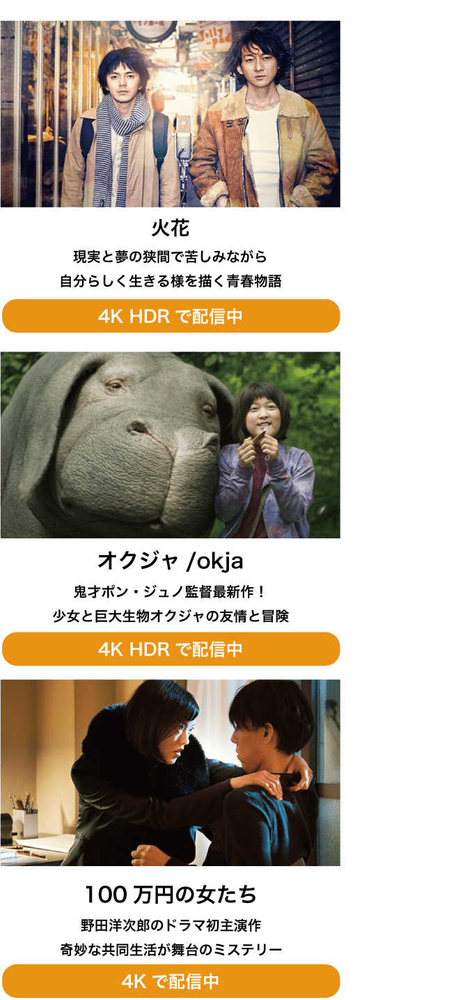 4K�掿�Ŋy���߂��i���L�x�Ȃ̂�4K�u���r�A�̉掿�����\�ł��܂�