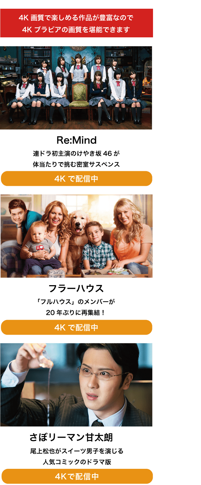 4K画質で楽しめる作品が豊富なので4Kブラビアの画質を堪能できます