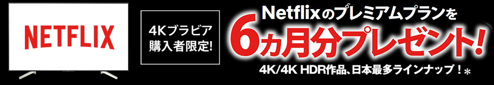 4K�u���r�A�w���Ҍ���I Netflix�̃v���~�A���v������6�������v���[���g�I