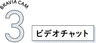 BRAVIA CAM 4 �r�f�I�`���b�g