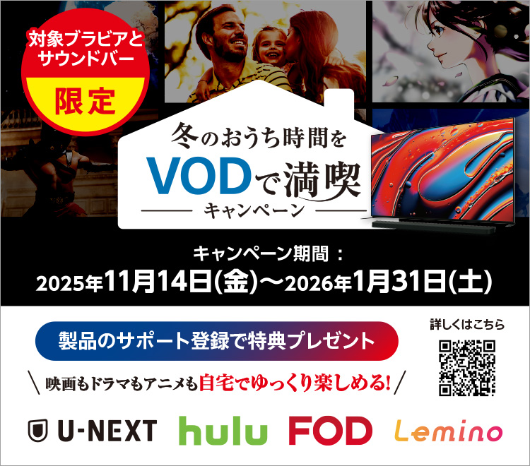 冬のおうち時間をVODで満喫キャンペーン | テレビ ブラビア | ソニー