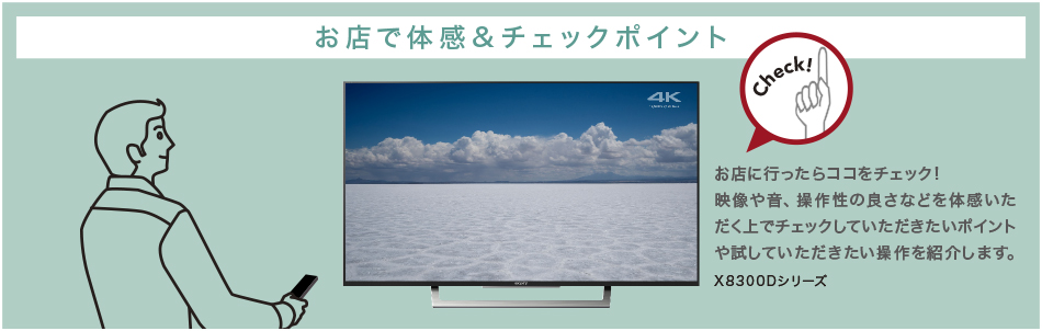 XDシリーズ   テレビ ブラビア   ソニー