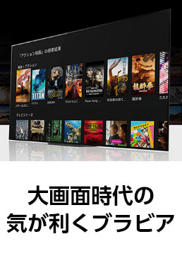 ���ʎ���́A�C�������u���r�A Google �A�V�X�^���g�A�X�}�[�g�z�[���A4K �R���e���c�AChromecast �Ȃǂ֗̕��ȋ@�\�����p�ł��܂��B