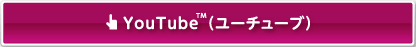 YouTube�i���[�`���[�u�j