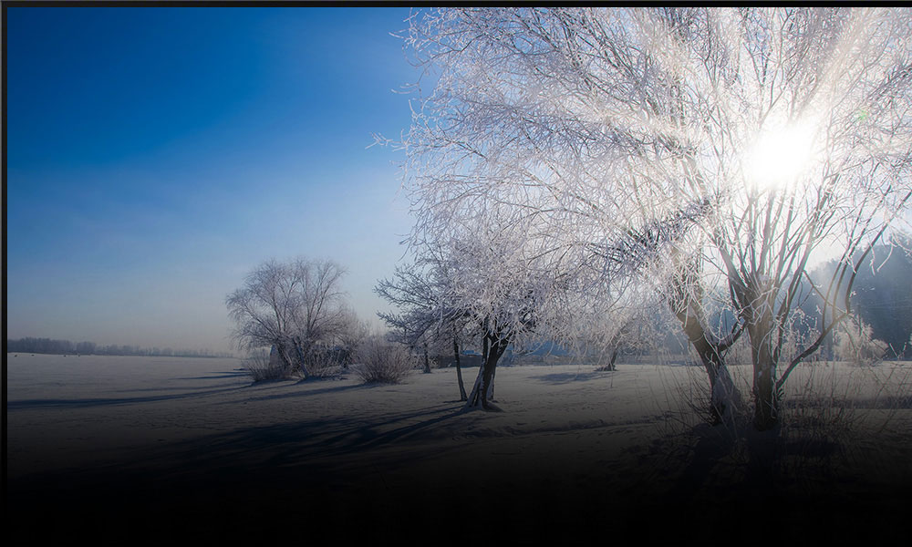 これまでにない最高峰の輝きと映像美イメージ