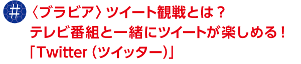 �q�u���r�A�r�c�C�[�g�ϐ�Ƃ́H�e���r�ԑg�ƈꏏ�Ƀc�C�[�g���y���߂�I�uTwitter�i�c�C�b�^�[�j�v