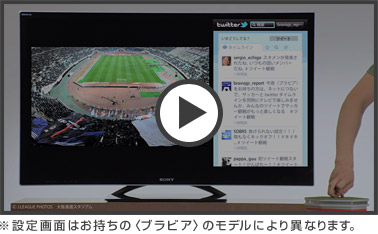 ���ݒ��ʂ͂������́q�u���r�A�r�̃��f���ɂ��قȂ�܂��B