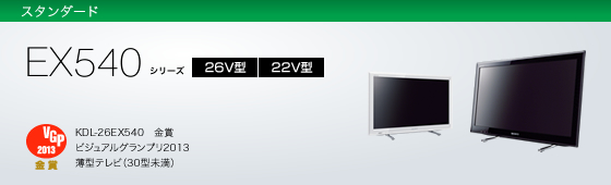 SONY ブラビア  KDL-22EX540 2013年製