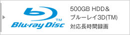 500GB HDD＆ブルーレイ3D(TM)対応長時間録画