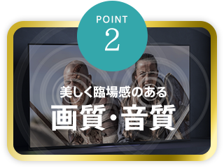 ypoint2zՏꊴ̂掿E