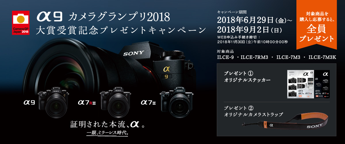 α9 カメラグランプリ2018大賞受賞記念キャンペーン | ソニー