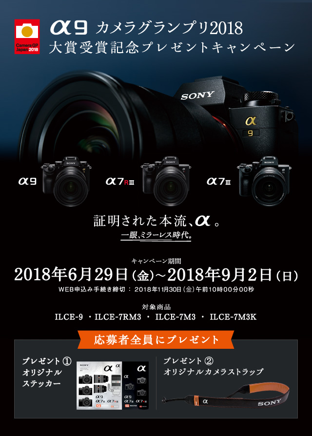 α9 カメラグランプリ2018大賞受賞記念キャンペーン | ソニー