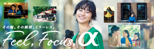 ̓B̏uԁB~[XBFeel,Focus, XyVTCgBNX-EFu q̃XyVAXyVC^r[JB