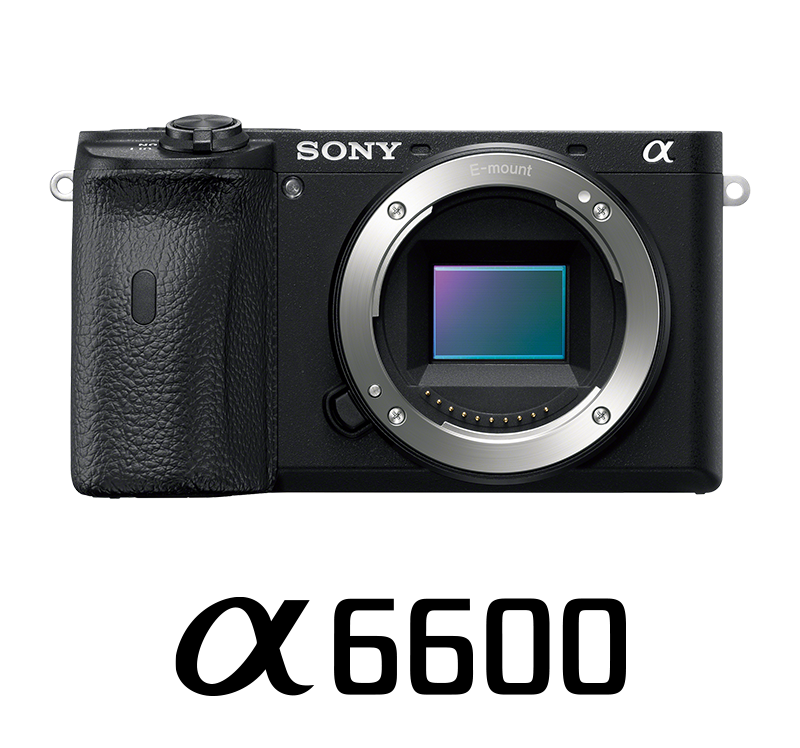 �{�f�B�m��6600�n