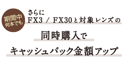 Ԓ{ł@FX3/FX30ƑΏۃY̓wŃLbVobNzAbv