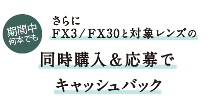 Ԓ{ł@FX3/FX30ƑΏۃY̓wŃLbVobNzAbv