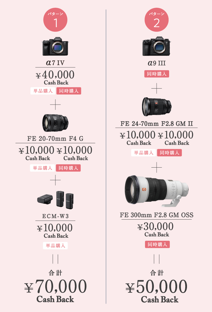 �L���b�V���o�b�N�p�^�[����̕\