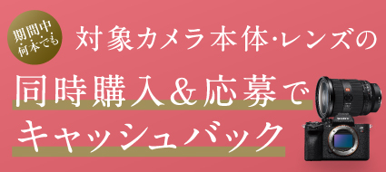 �����w��������ŃL���b�V���o�b�N