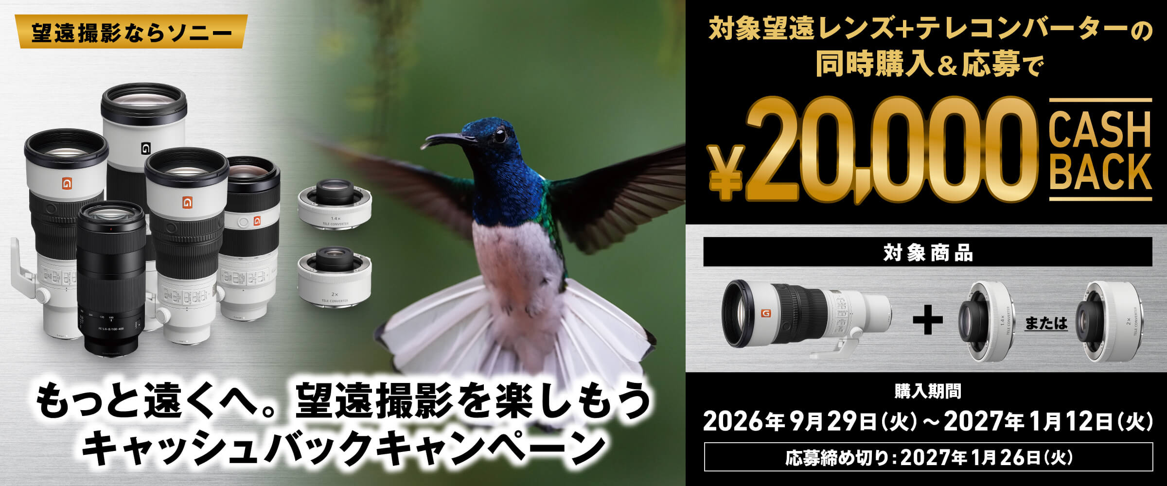 �]���B�e�Ȃ�\�j�[�B�����Ɖ����ցB�]���B�e���y�������L���b�V���o�b�N�L�����y�[���B�Ώۖ]�������Y�{�e���R���o�[�^�[�̓����w���������20,000�~�L���b�V���o�b�N�B�w�����ԁF2026�N9��29���i�΁j�`2027�N1��12���i�΁j�B������ߐ؂�F2027�N1��26���i�΁j
