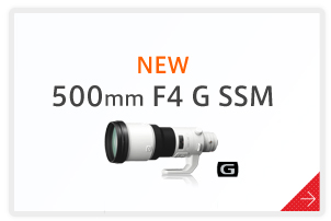 NEW 500mm F4 G SSM