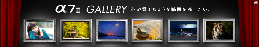 7 U GALLERY Sk悤ȏuԂcB