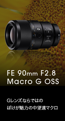 FE 90mm F2.8 Macro G OSS