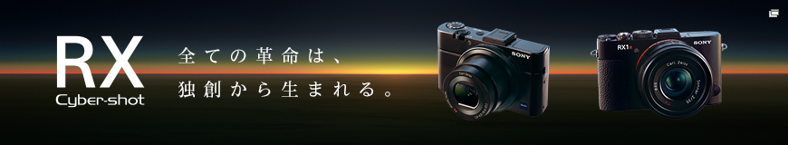 RX cyber-shot SĂ̊v́AƑn琶܂B