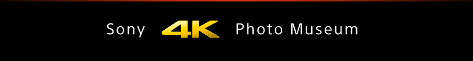 Sony 4K Photo Museum